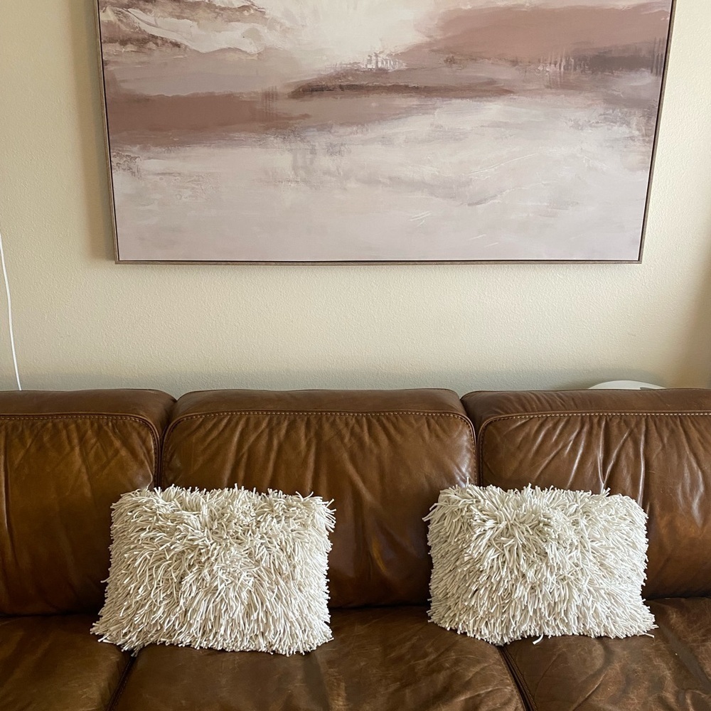 Crate & Barrel Remy Cotton Pillow & Case Cover X2